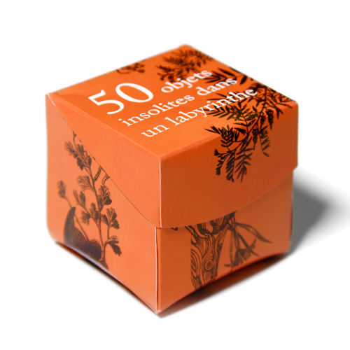 50 objets insolites dans un labyrinthe